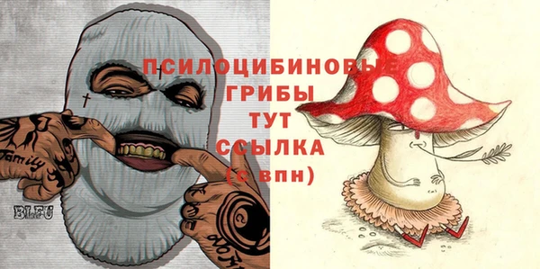 mdma Бородино