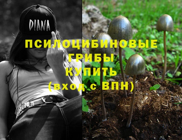 mdma Бородино
