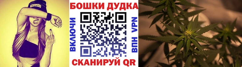 где купить наркоту  Выборг  Конопля конопля 
